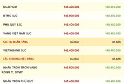Giá vàng hôm nay 08/11/2025: Duy trì đà tăng