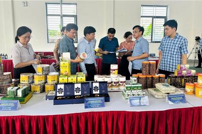 <a href="/ban-nha-nong" title="Bạn nhà nông" rel="dofollow">Bạn nhà nông</a>