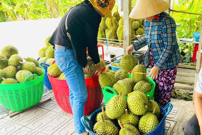 <a href="/ban-nha-nong" title="Bạn nhà nông" rel="dofollow">Bạn nhà nông</a>