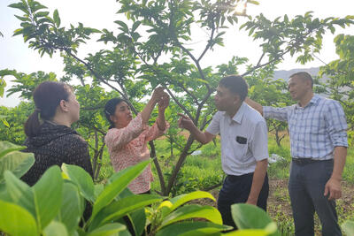 <a href="/ban-nha-nong" title="Bạn nhà nông" rel="dofollow">Bạn nhà nông</a>