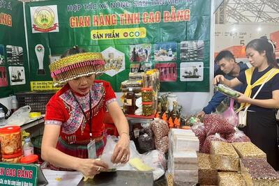 <a href="/ban-nha-nong" title="Bạn nhà nông" rel="dofollow">Bạn nhà nông</a>