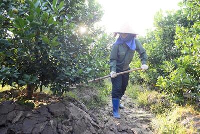 <a href="/ban-nha-nong" title="Bạn nhà nông" rel="dofollow">Bạn nhà nông</a>