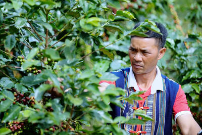 <a href="/ban-nha-nong" title="Bạn nhà nông" rel="dofollow">Bạn nhà nông</a>