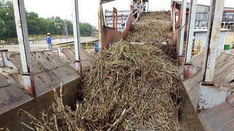 Giá giảm sâu, mỗi cân đường mất 5.000 đồng