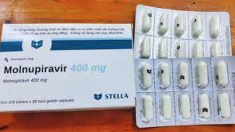 Thuốc Molnupiravir không bán trên thị trường