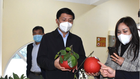 Winmart sẵn sàng mua nông sản, hoa Mê Linh cung cấp cho người tiêu dùng