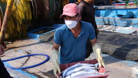 Ngư dân miền Trung thu “lộc biển” những ngày cuối năm   