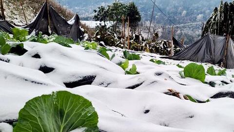 Miền Bắc tiếp tục mưa phùn gió rét, vùng núi cao có nơi dưới 5 độ