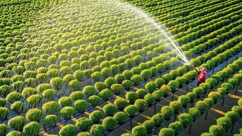 Đây là cách để thu nhập tại nông thôn tăng lên 3 lần