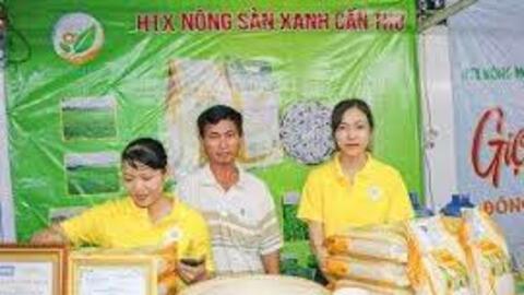 Ngành Ngân hàng TP. Cần Thơ đồng hành hỗ trợ nguồn lực về vốn cho hợp tác xã