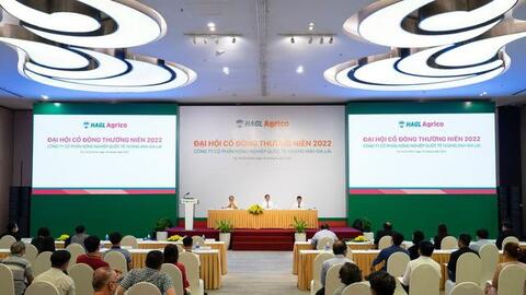 THACO và cuộc tái thiết ở HAGL Agrico: Đường xa vạn dặm!