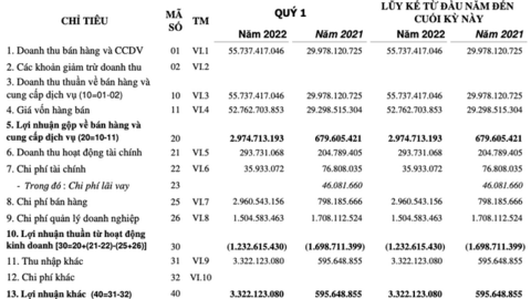 Thuỷ sản Mê Kong (AAM) thành công chuyển lỗ sang có lãi trong quý 1/2022