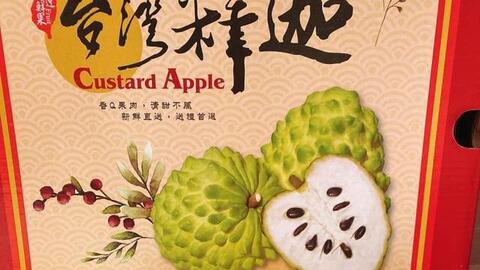 Loại na "siêu to khổng lồ", quả nặng tới 1,5kg có giá gần 1 triệu đồng