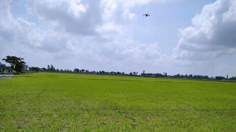 Nông dân miền Tây ưa dùng thiết bị bay trong sản xuất nông nghiệp