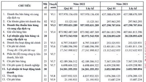 Xuất khẩu gạo khởi sắc, Trung An Rice (TAR) báo lãi quý 1/2022 gấp 8 lần cùng kỳ