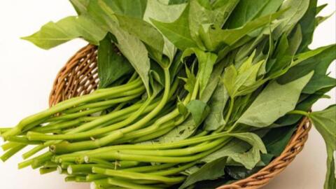 Lợi ích đặc biệt của rau khoai lang với bệnh ung thư