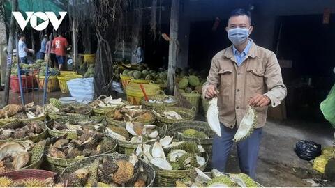 Giải pháp nào để xử lý vỏ trái sầu riêng có ích cho sản xuất?