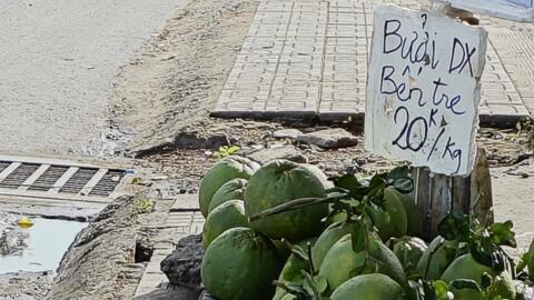 Bưởi da xanh dội chợ