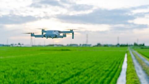 Nông nghiệp thông minh của Nhật Bản dựa vào trí tuệ nhân tạo, máy bay không người lái