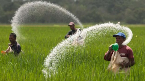 Một doanh nghiệp phân bón vượt xa kế hoạch lợi nhuận sau 9 tháng, cổ phiếu bật tăng 60% từ đầu năm