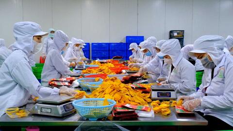 Chế biến sâu: Đòn bẩy đưa nông sản Việt vươn xa