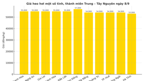 Giá heo hơi hôm nay 8/9/2025: Cao nhất 59.000 đồng/kg