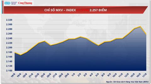 Giá cà phê thế giới giảm mạnh, Arabica xuống dưới 8.300 USD/tấn