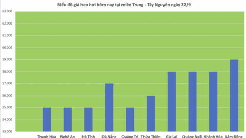 Giá heo hơi hôm nay 22/9/2025: Thị trường bình ổn trên cả 3 miền