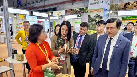 Chương trình GoGlobal: Nơi chắp cánh cho những ‘đại bàng’ kinh tế