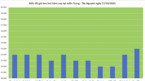 Giá heo hơi hôm nay 17/10/2025: Trầm lắng trên cả ba miền