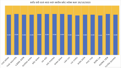 Giá heo hơi hôm nay 29/10/2025: Nhiều nơi giảm nhẹ