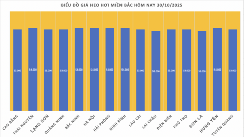 Giá heo hơi hôm nay 30/10/2025:  Giảm nhẹ tại miền Trung