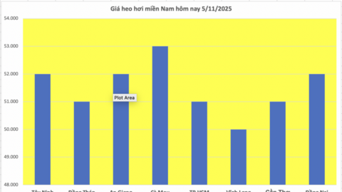 Giá heo hơi hôm nay 5/11/2025: Không ghi nhận đợt điều chỉnh mới