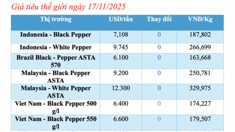 Giá tiêu hôm nay 17/11/2025: Lặng sóng đầu tuần