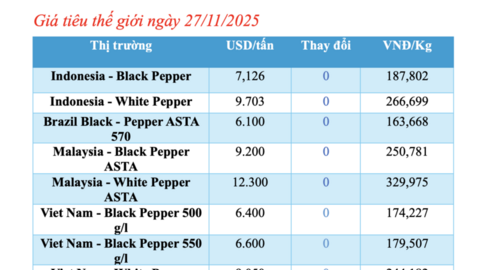 Giá tiêu hôm nay 27/11/2025: Tăng mạnh đến 2.000 đồng/kg