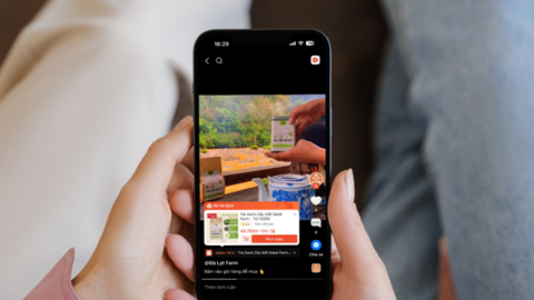 Từ nông trại đến người tiêu dùng: Hành trình của thương hiệu cà phê Việt 