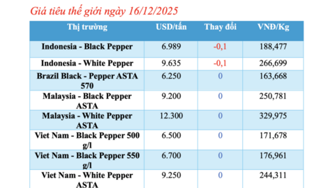 Giá tiêu hôm nay 16/12/2025: Tiếp tục giảm mạnh