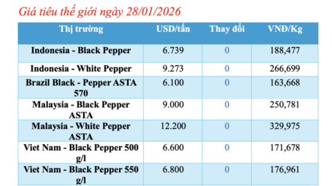 Giá tiêu hôm nay 28/1/2026: Tăng vọt 3.000 đồng/kg