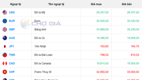 Tỷ giá USD hôm nay 10/6: USD tự do bật tăng, USD thế giới hạ nhiệt