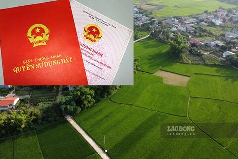 Luật Đất đai 2024 quy định việc chuyển đất ruộng thành đất ở như thế nào?