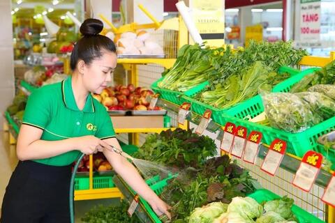 Bách Hóa Xanh tuyển dụng tại Ninh Bình, “Bắc tiến” sớm hơn dự kiến?