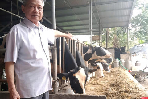 Lão nông thành tỷ phú bò sữa nhờ 'quyết định vàng'