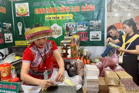 Nông sản Cao Bằng ghi dấu ấn tại Hội chợ mùa Thu lần thứ nhất - 2025