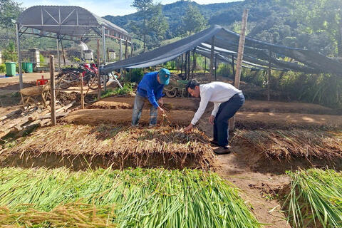 Vườn ươm thoát nghèo của đồng bào Xơ Đăng