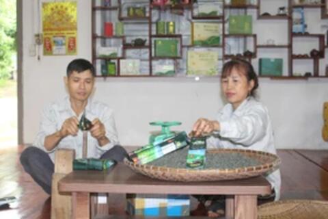 Mô hình trồng chè an toàn giúp nông dân Vô Tranh giảm nghèo bền vững