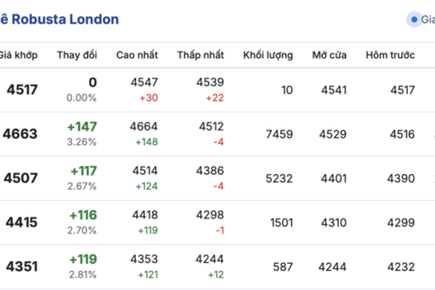 Giá cà phê hôm nay 21/11/2025: Đảo chiều giảm mạnh