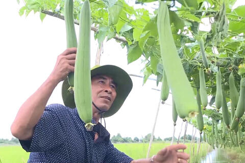 Nhiều cách làm hay trong giảm nghèo ở Cà Mau