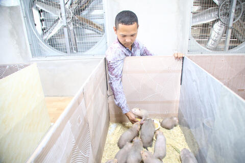 Làm giàu từ những mô hình chăn nuôi hiệu quả