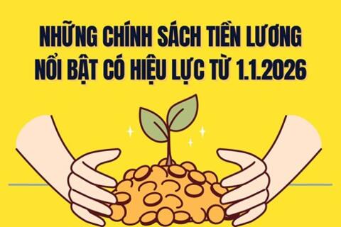 Chính sách gọn lại, hiệu quả bật lên