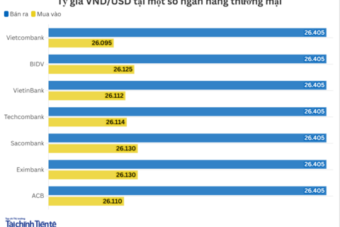 Ngày 19/12: Tỷ giá trung tâm giảm 3 đồng
